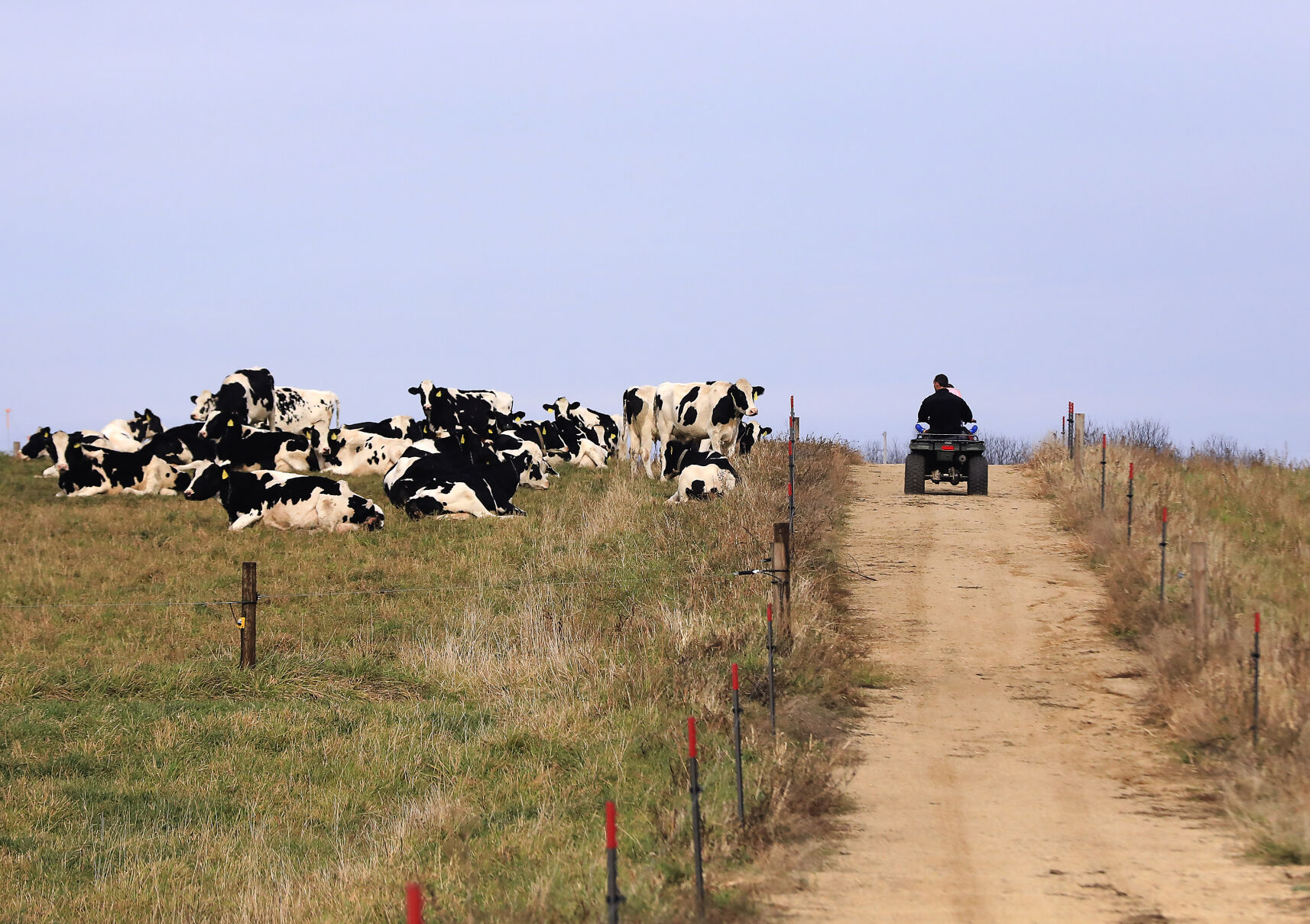 Grazing 10-11192020133506
